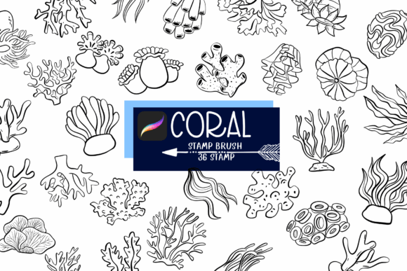 Coral Procreate Stamp Brushes: Sketch Style Guide